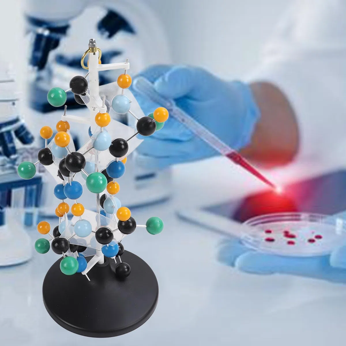 Equipo de Modelo Molecular de Proteína, Plástico Escolar para Profesores, Profesores, Profesores, Profesores, Animales Modelo