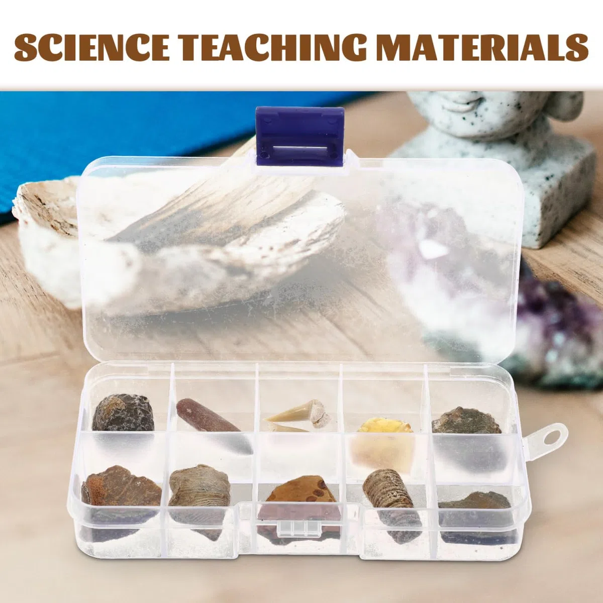 VILLCASE 10 Piezas Especímenes Fósiles Biológicos Decoración De Modelo Enseñando Juguete De Paleontología Para Niños. Equipo Kit De Ciencia Pecera Alumno De