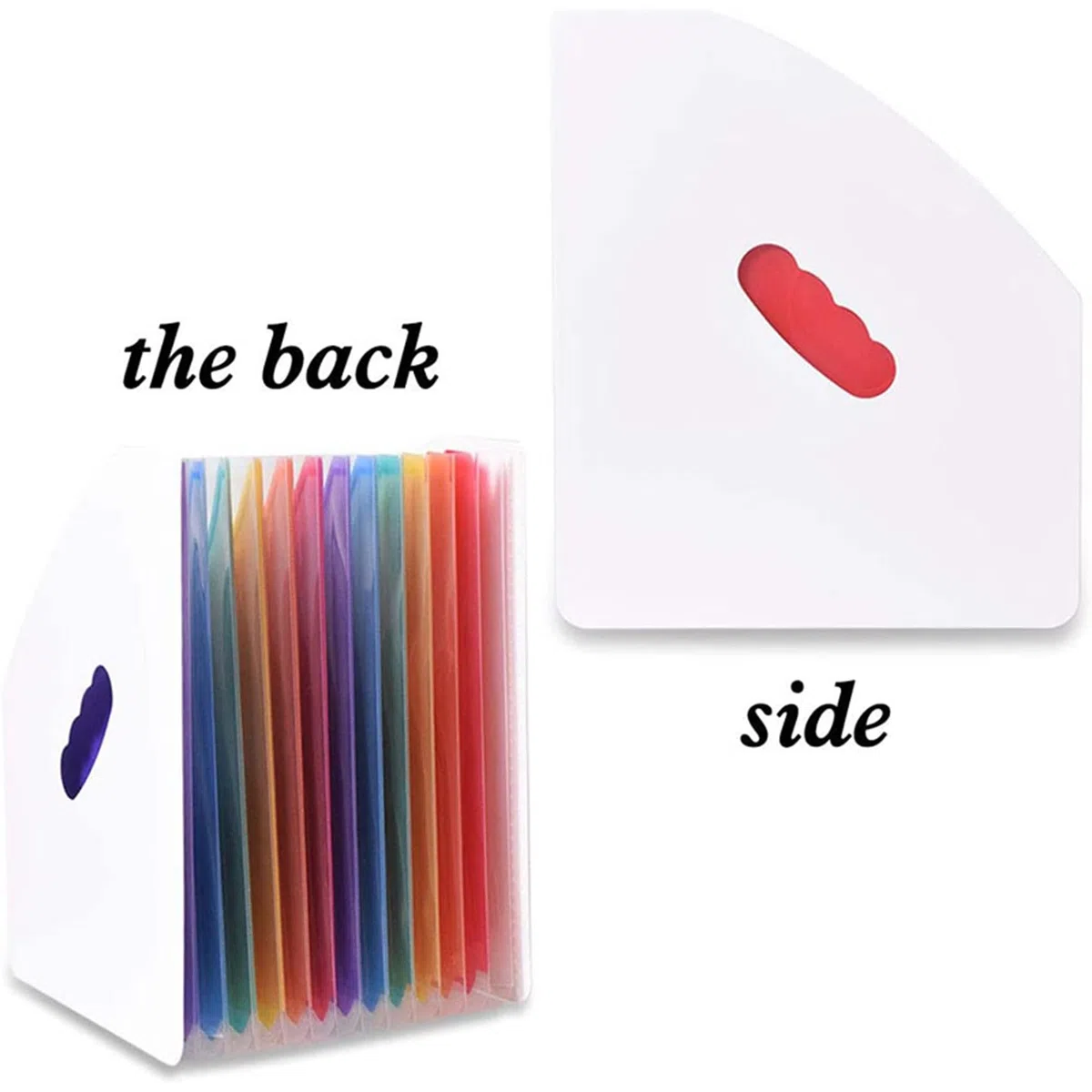 5X Carpeta de Archivos Expandible Carpeta de Pie A4 Organizador Vertical de Archivos Revista Cesta Escritorio 13 Bolsillos Soporte de Archivos