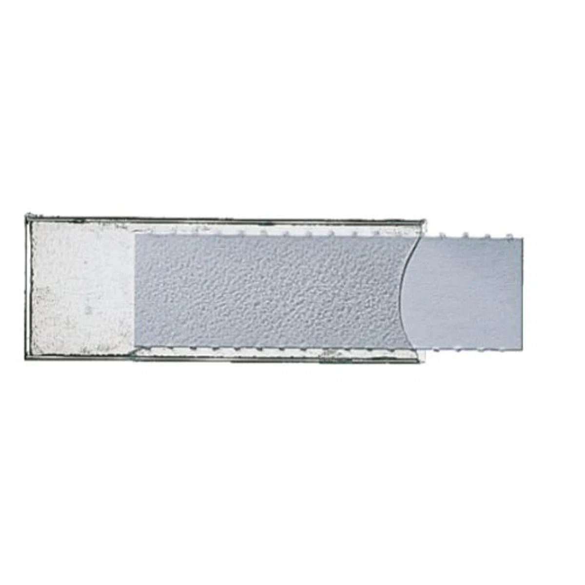 Esselte Leitz Window Labels - Paquete de 50 visores para carpetas colgantes, transparente