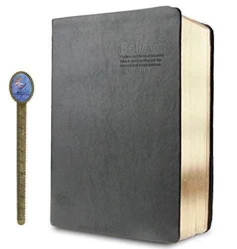 YHNNH， Diarios de estudio DaiBible Cuaderno de bocetos Libro de recuerdos Registros de vida Lo mejor for dos años de escritura Grueso 640 páginas en blanco A5 Piel sintética suave(Gold Edge)