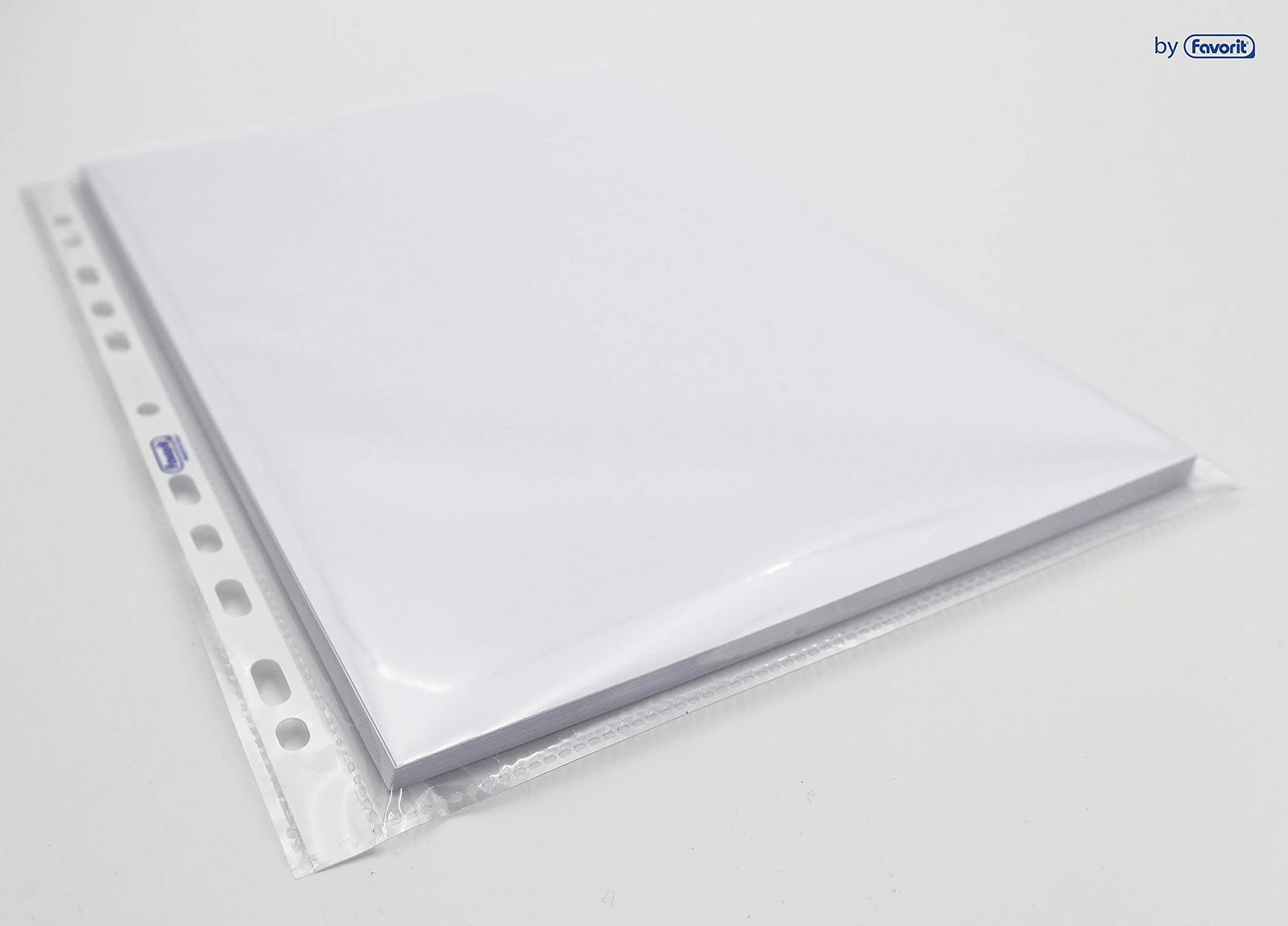 Favorit 100460064 - Protector (210 x 297 mm (A4), Polipropileno) Transparente