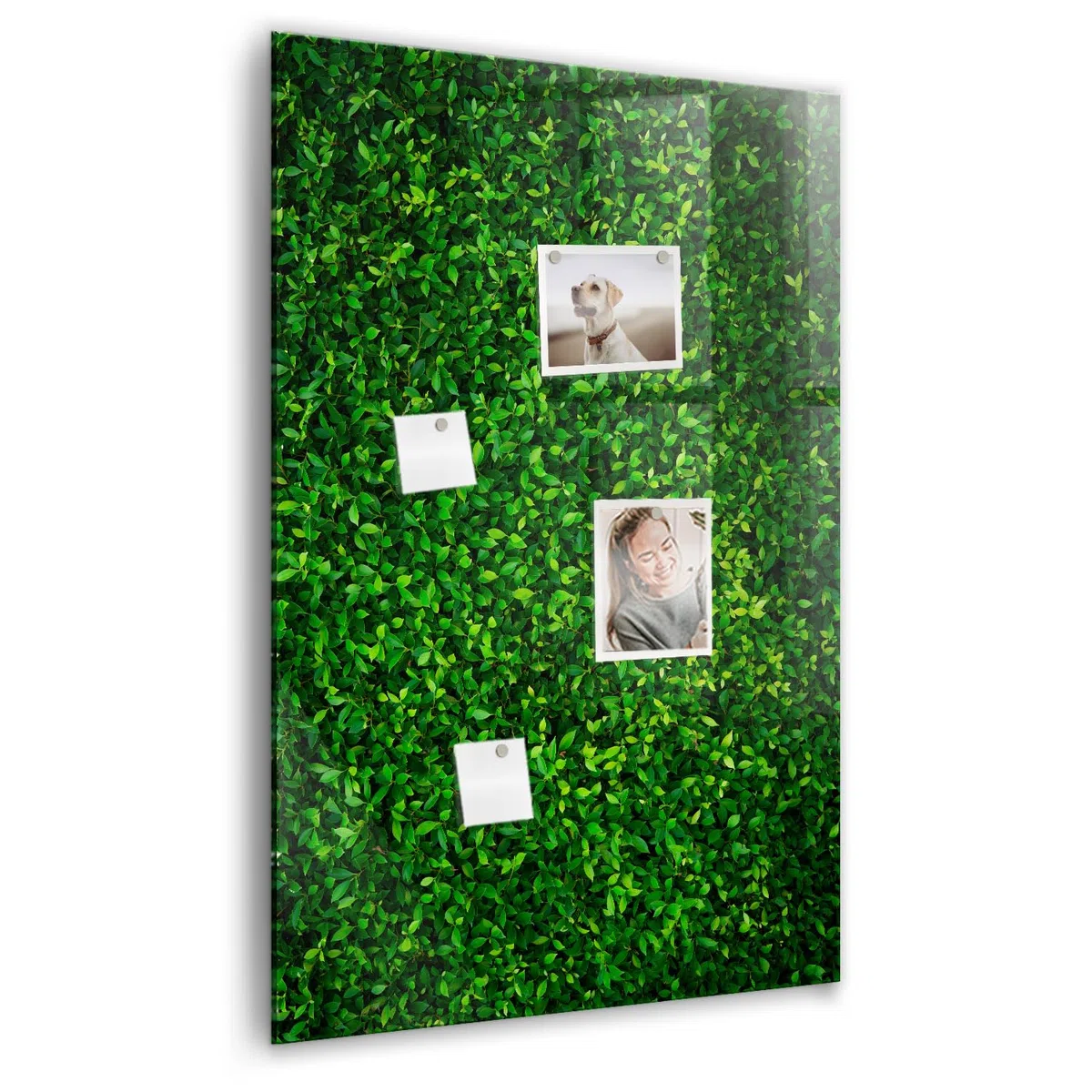 Pizarra magnética de vidrio templado XL | Imanes neodimio ultra fuertes + rotulador + borrador | Ideal para habitaciones grandes y oficinas - 60x90 - Hojas de cerca