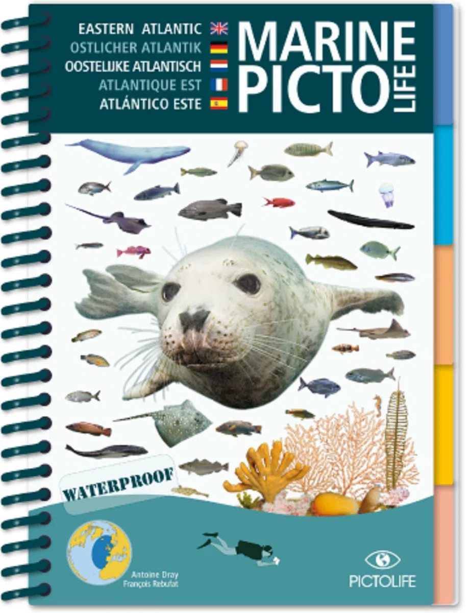 Marine Pictolife Atlantico Este