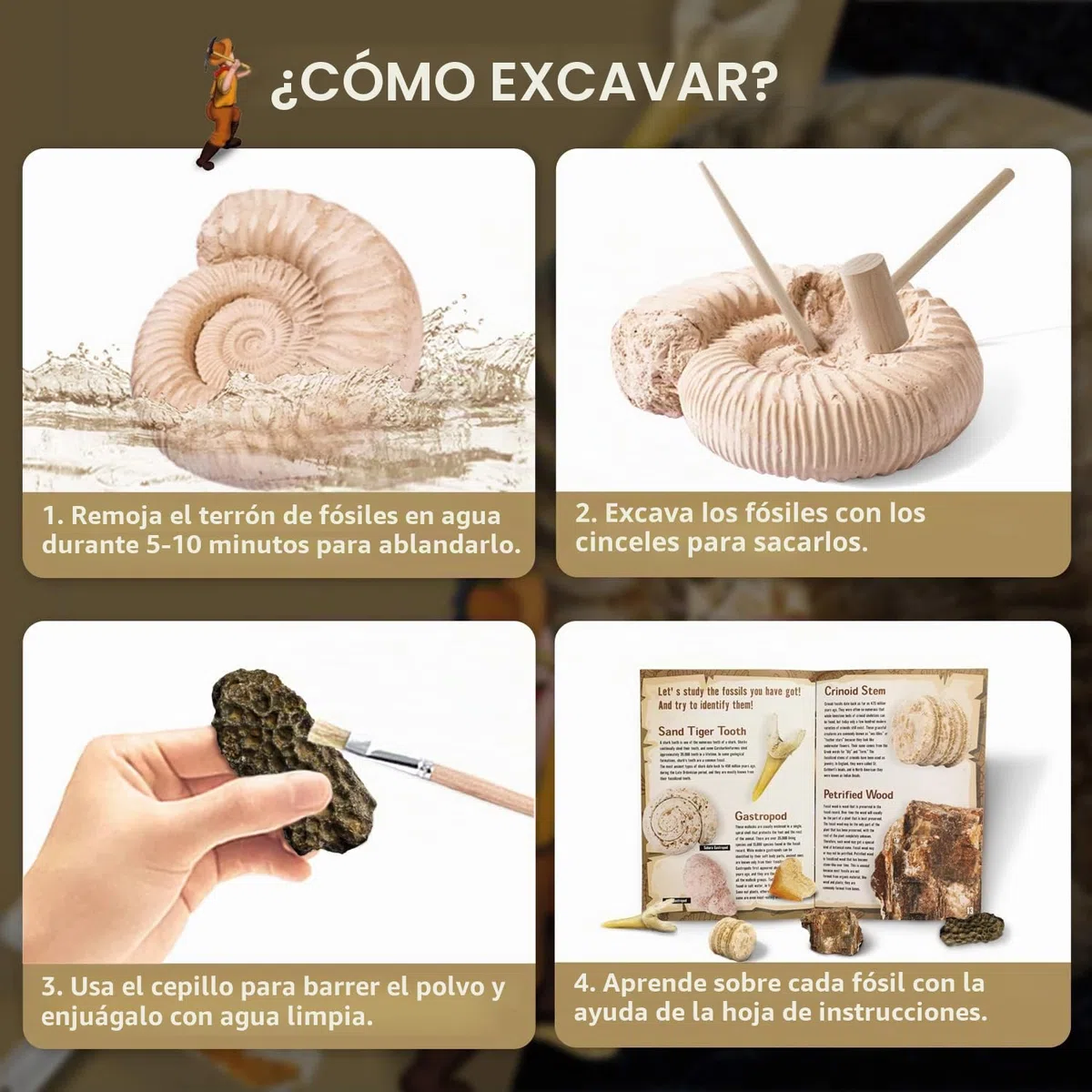 Byncceh Kit de Excavación de Fósiles para Niños – Descubre 12 Fósiles Auténticos en 1 Gran Bloque de Yeso | Juego Educativo Stem para Niños de 6 a 12 Años Pequeños Exploradores