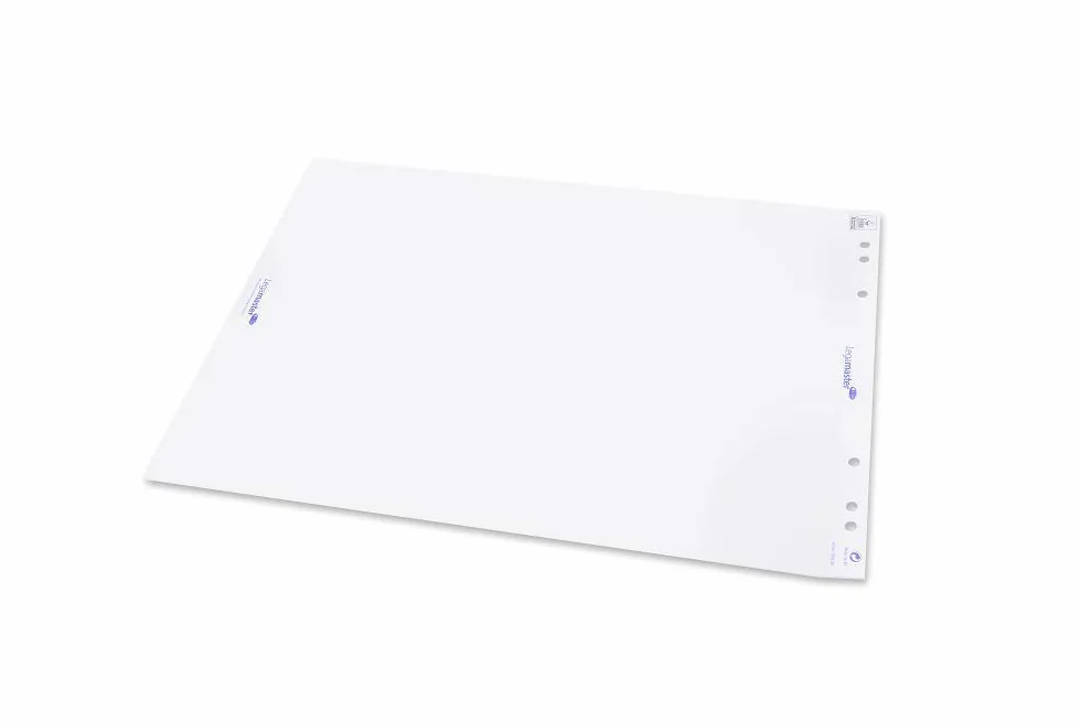 Legamaster 7-156000 - Pack de 5 tacos de papel para rotafolios, color blanco