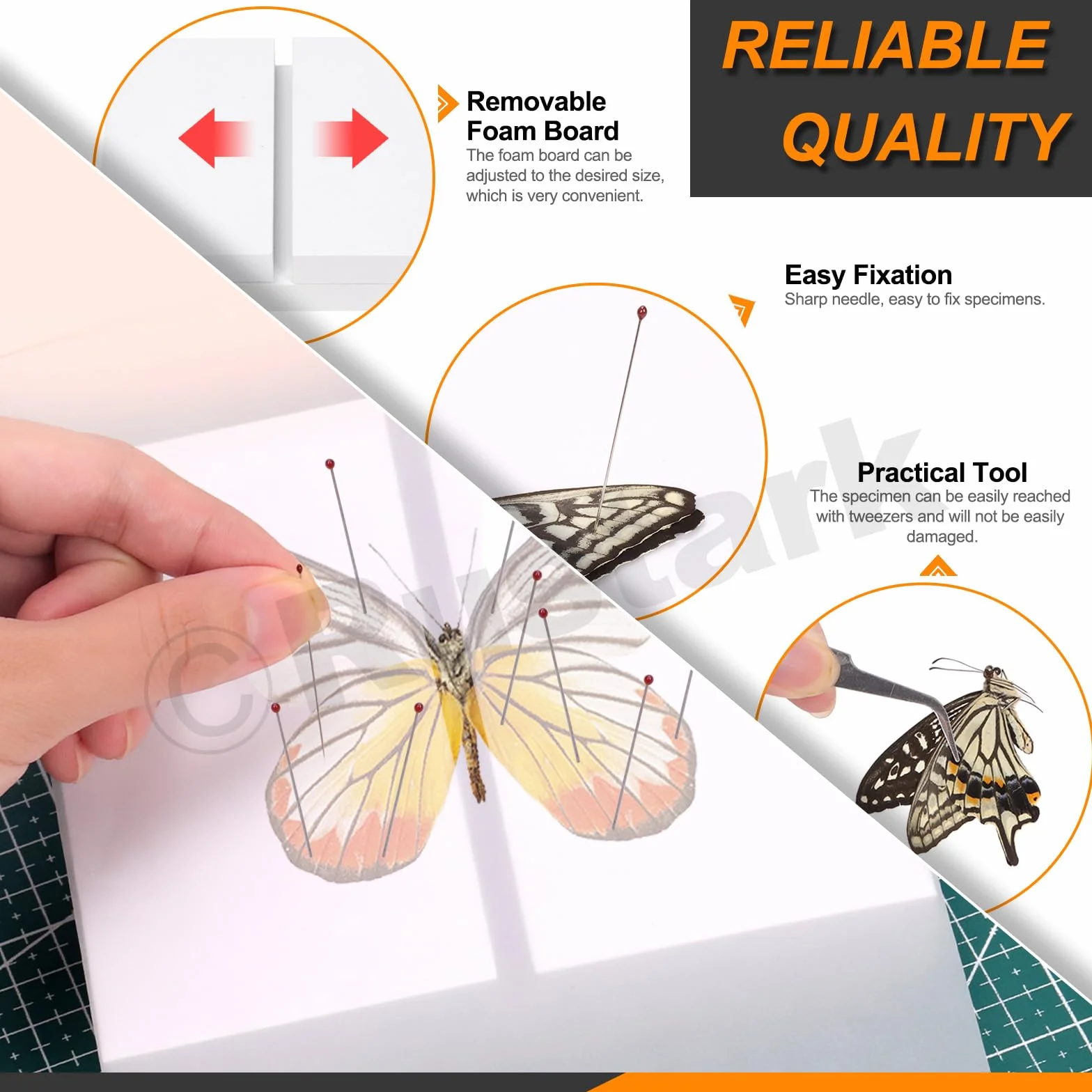 114 piezas de herramientas para hacer muestras de insectos, kit de fijación de insectos con bloque de fijación de insectos, alas, papel prensado, tablero de fijación de insectos, suministros