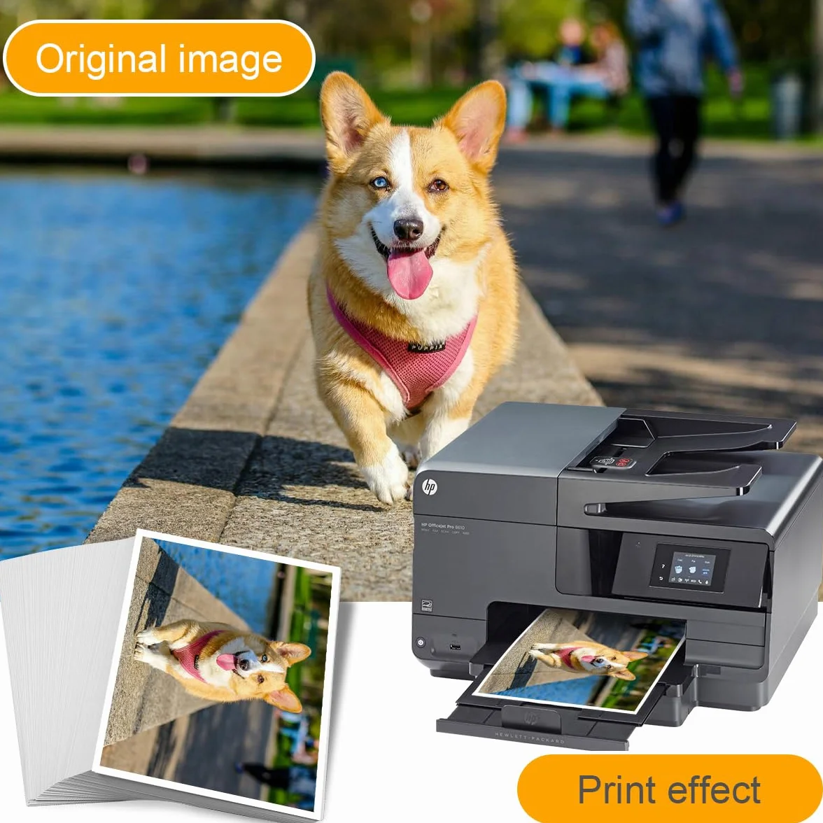 Papel fotográfico de alto brillo (8.5 x 11 pulgadas)