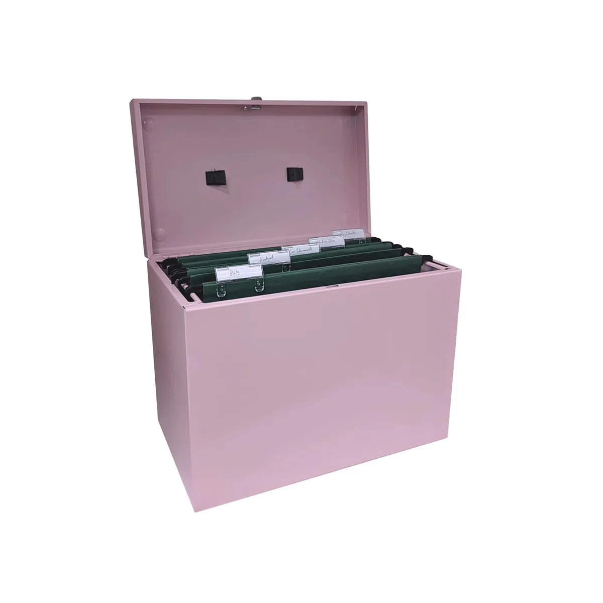 Cathedral Products Caja archivadora de acero A4 con paquete inicial de 5 archivadores colgantes, color rosa pastel