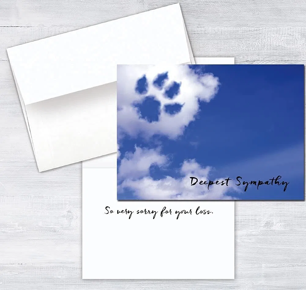 25 tarjetas de simpatía para mascotas, diseño de nube, 26 sobres blancos, mezcla FSC