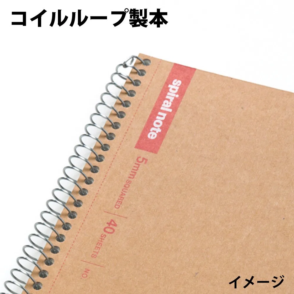 Maruman N247 - Cuaderno de anillas (5 mm), cuadrícula, básico, A5, 40 hojas, juego de 10