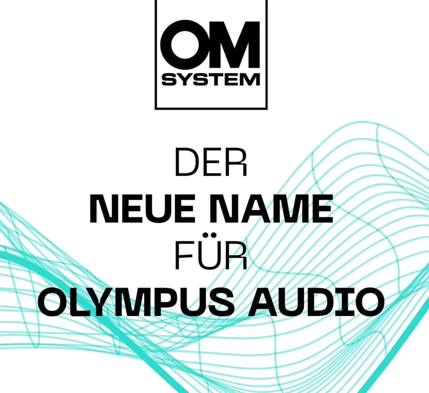 OM System ME-33 - Micrófono omnidireccional (sucesora de la Olympus ME-33), Ideal para Grabar conferencias