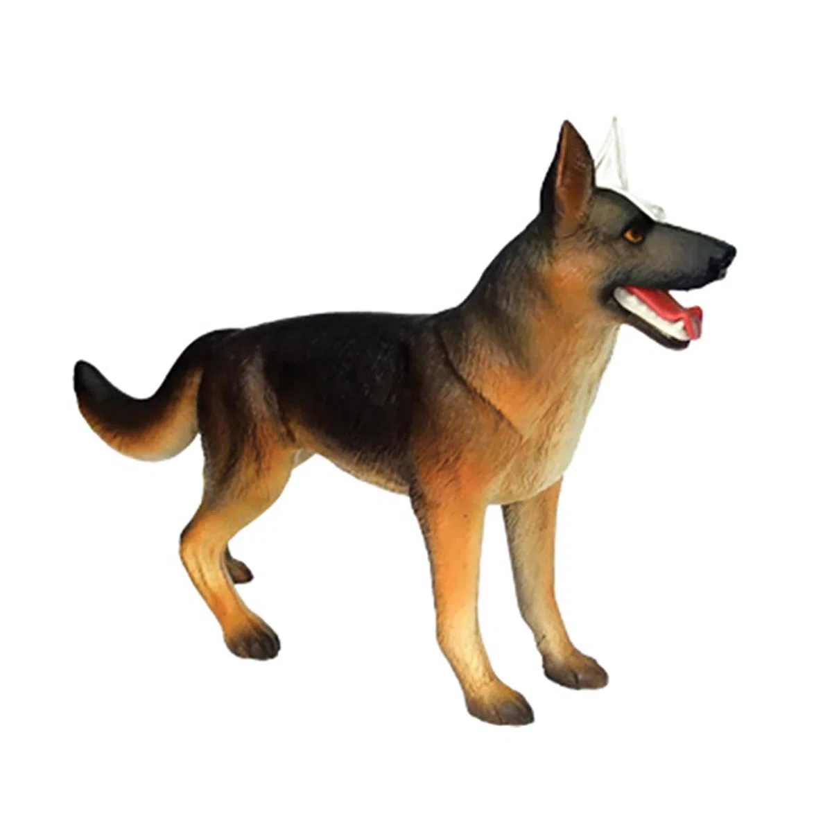 4D Anatomía del Perro Modelo, Esqueleto Canino Desmontable 29 Partes para Enseñanza