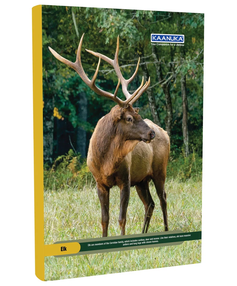 KAANUKA Cuaderno de tamaño largo, 172 páginas, rayado, una sola línea, A4-29,7 cm x 21,0 cm, paquete de 5 cuadernos, cuadernos de tamaño largo de una sola línea para estudiantes escolares y