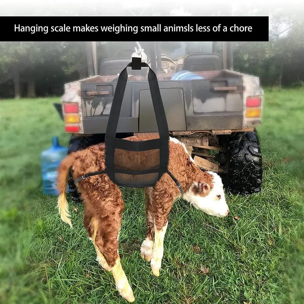 Eslinga para Terneros para Pesar Animales PequeñOs, Eslinga para Ganado, Escala Colgante, Escala para Terneros Eslinga para BáScula Colgante para Pesaje