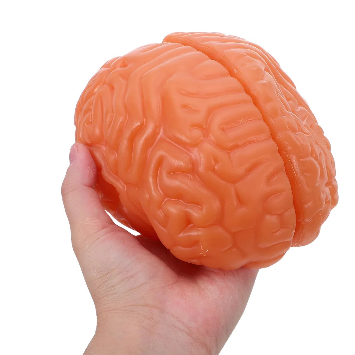 Modelo Anatómico del Cerebro de 3 Partes en Pvc Café | Sección Detallada, Réplica Anatómica Precisa, para Laboratorios de Ciencia y Exposición Educativa en Biología