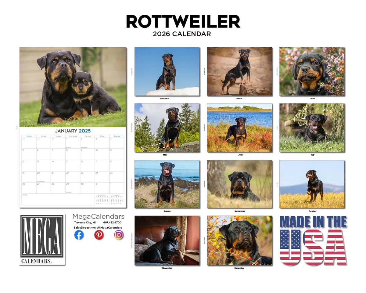 Rottweiler Calendario 2024 2025 – Calendario mensual de pared de raza de perro – 12 x 18 pulgadas abierto – Papel grueso que no se corre – Regalo – Calendario académico para profesores, organización y