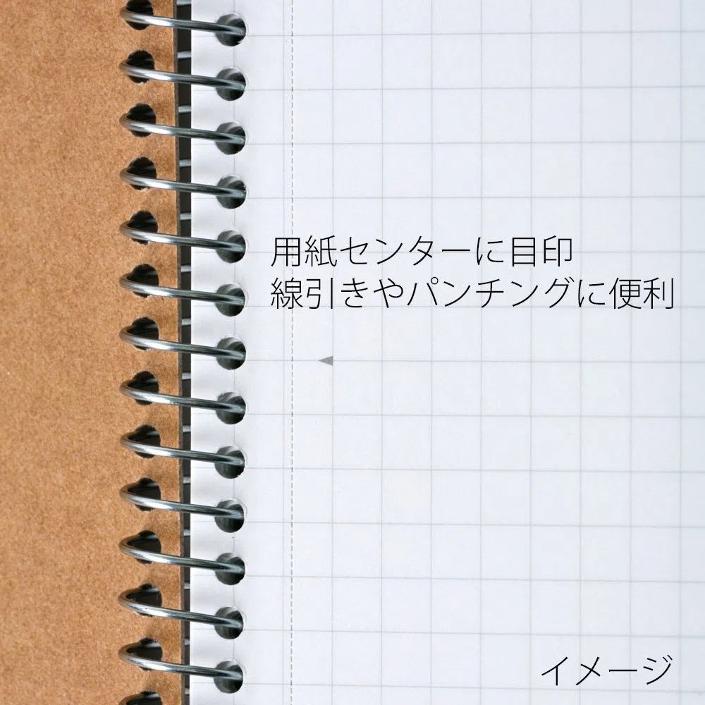 Maruman N247 - Cuaderno de anillas (5 mm), cuadrícula, básico, A5, 40 hojas, juego de 10