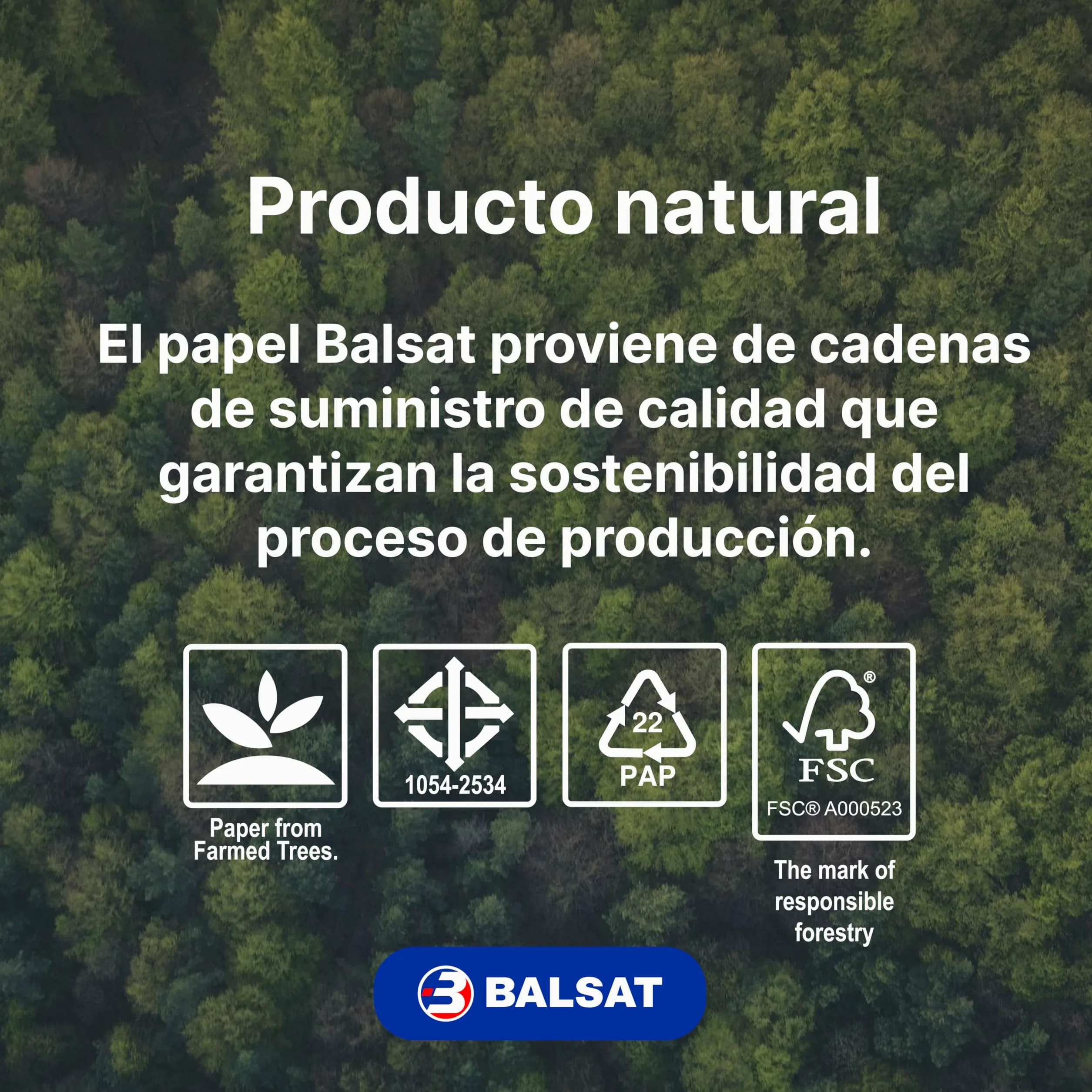 BALSAT Folios DIN A4 80 gramos, 500 hojas, Paquete de 500 Unidades - Papel de Oficina (2500)