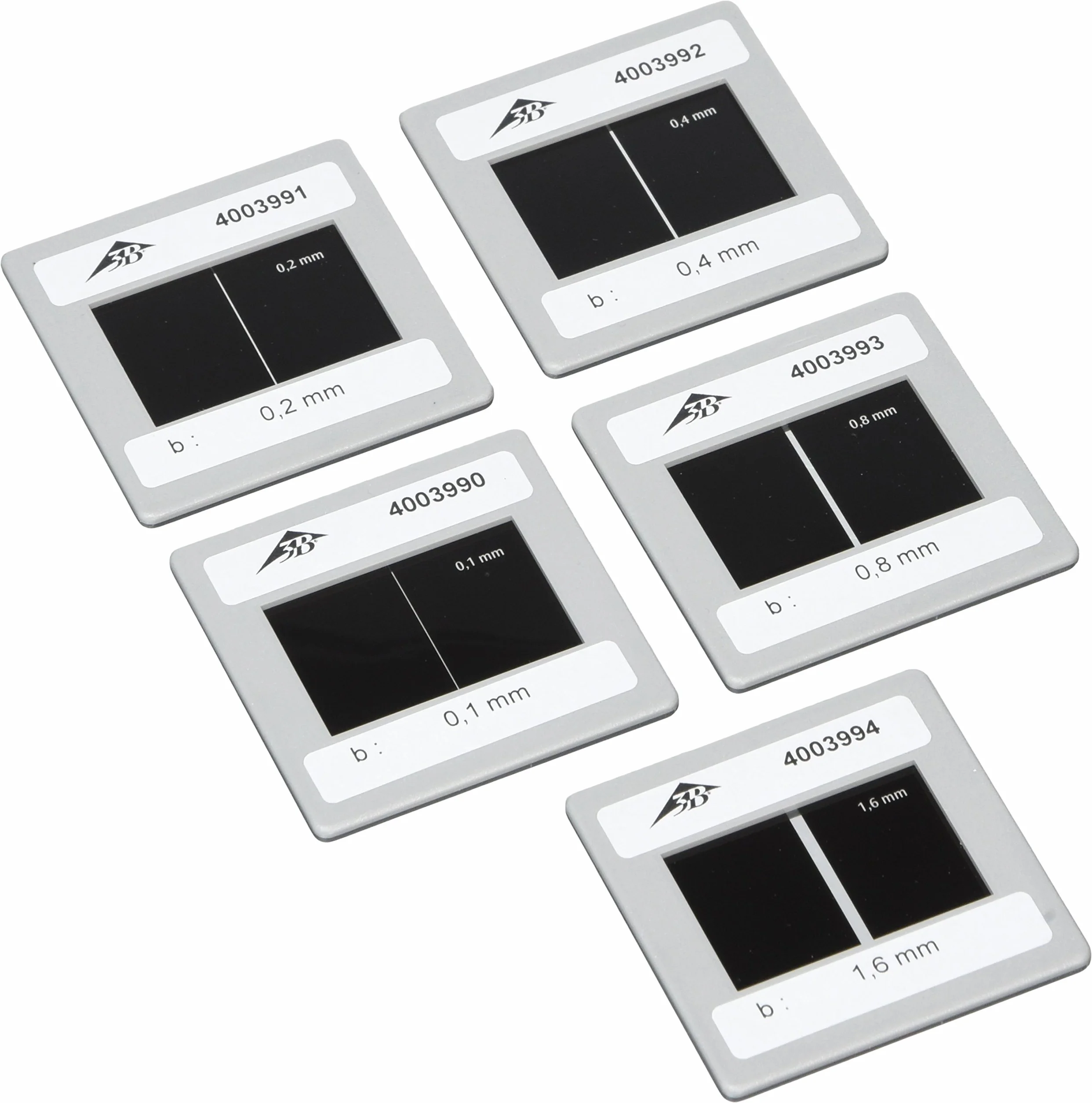 3B Scientific U8470790 Ranuras Sencillas, Juego de 5