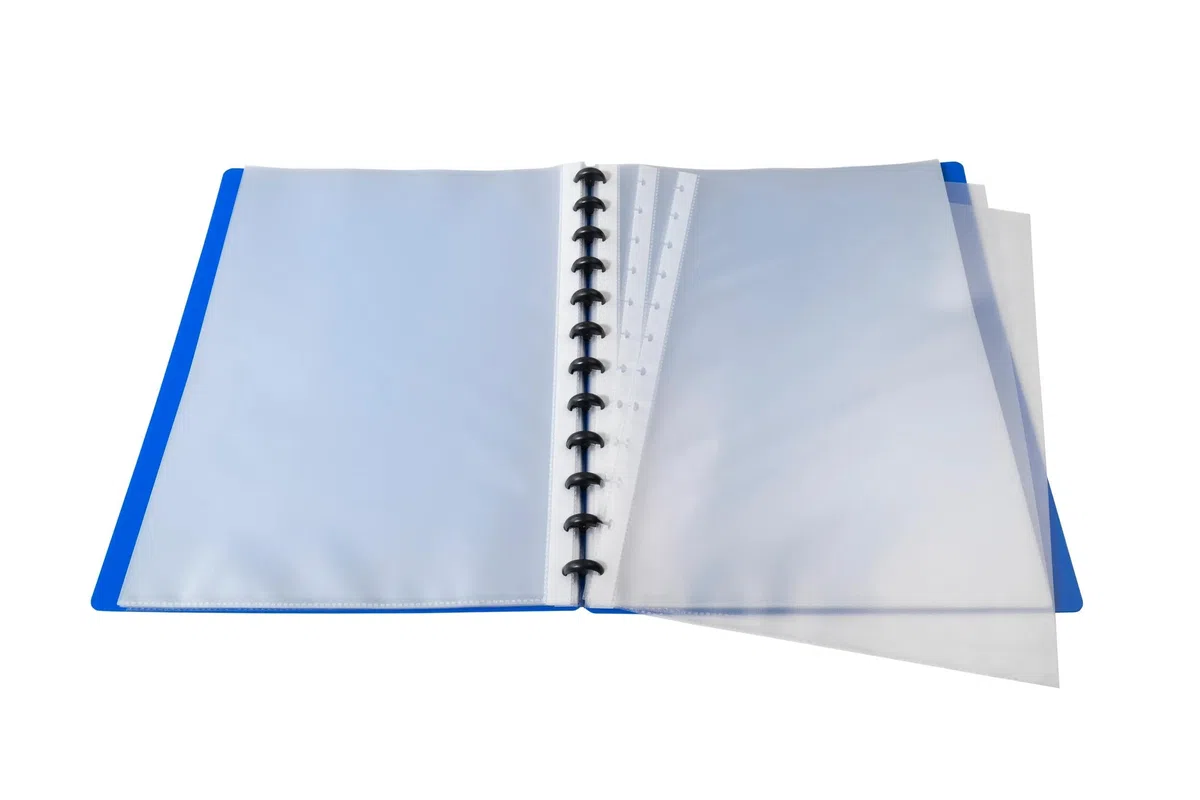 Exacompta - Ref. 86362E - Cartón de 4 protectores de documentos extraíbles con 30 fundas granuladas desmontables - 60 vistas - para A4 - Tamaño 24,5 x 31 cm - Tapa dura opaca - color azul