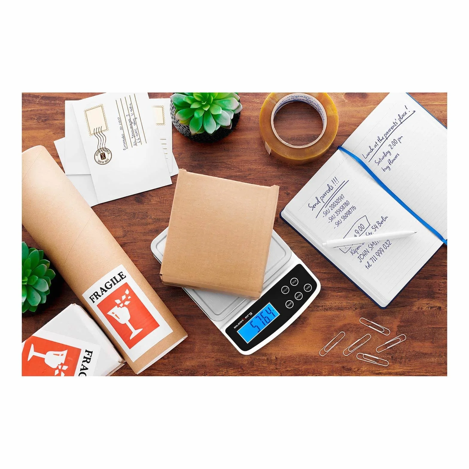 Steinberg Systems Báscula Para Paquetería Digital Balanza Pesacartas SBS-LW-5000/100 (0,6 g - 5 kg, Precisión de 0,1 g, Superficie de pesaje de 15 x 15 cm)
