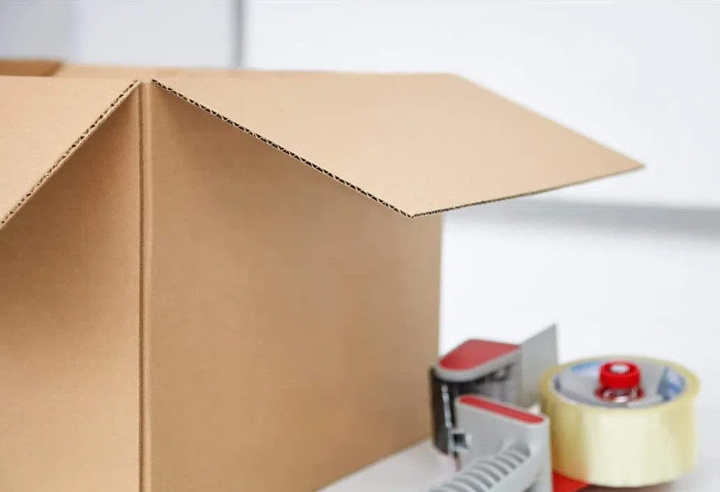 Secure Seal 25 cajas de envío corrugado