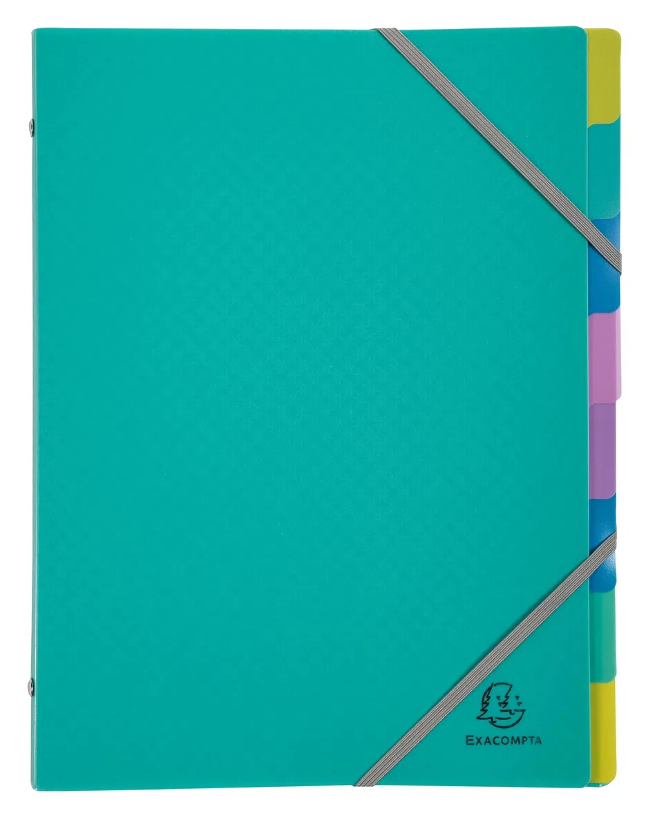 Exacompta 56190E Forever Young - Caja de 8 clasificadores, 3 solapas con gomas - cubierta e interior de polipropileno reciclado - 8 compartimentos - Dim 25 x 32 cm - para tamaño A4 - surtidos