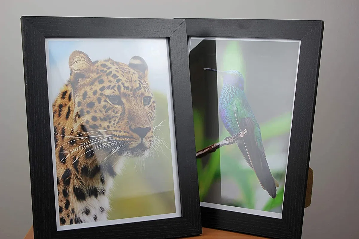 PPD Inkjet - A4 x 50 Hojas de Papel Fotográfico Brillante 180 g/m² - Calidad Profesional para Uso Diario - Secado Instantáneo - Para Impresión de Inyección de Tinta - PPD-24-50