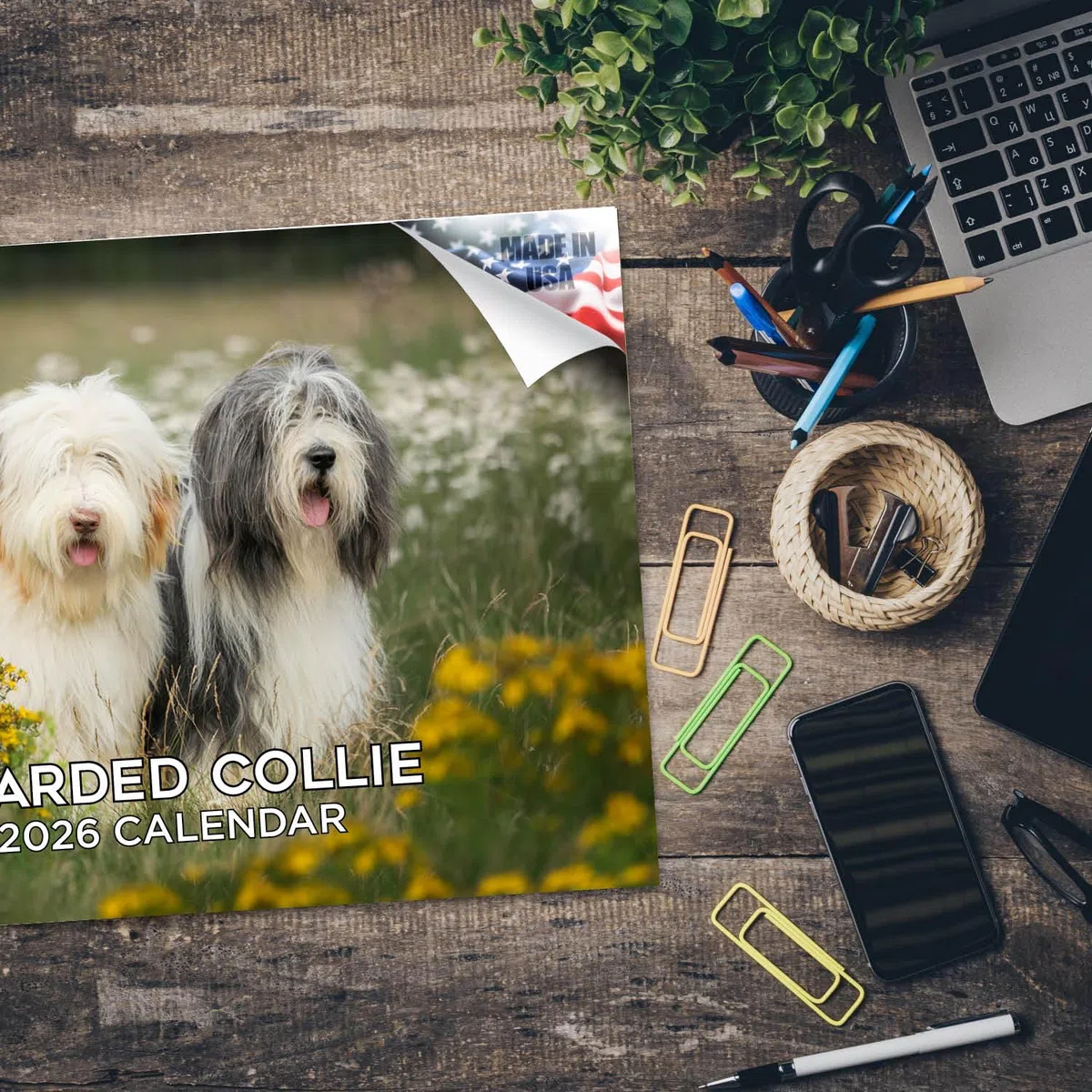 Calendario 2024 2025 de Collie barbudo – Calendario mensual de pared de raza de perro – 12 x 18 pulgadas abierto – Papel grueso que no se corre – Regalo – Calendario académico para profesores