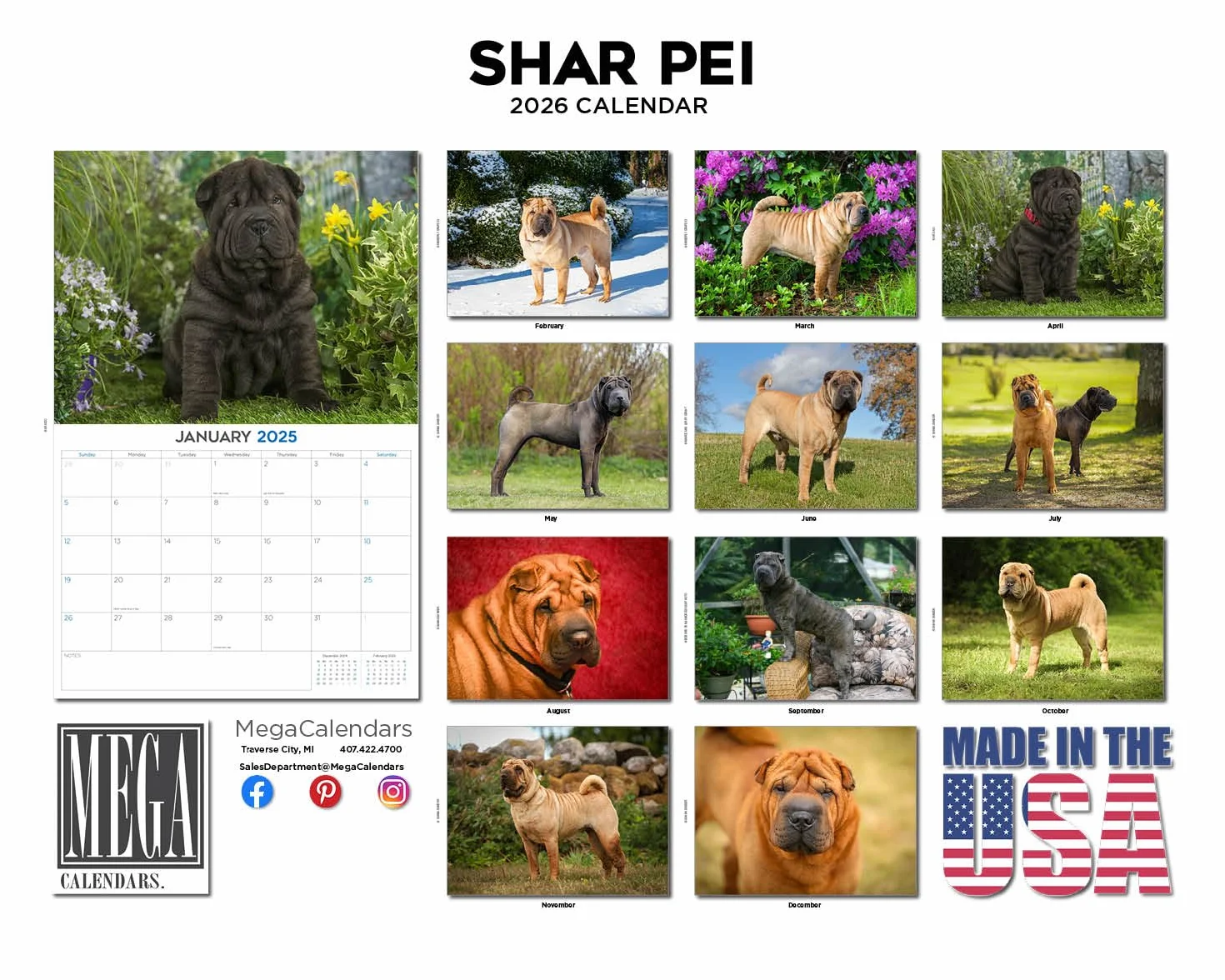 Calendario 2024 2025 Shar Pei – Calendario mensual de pared de raza de perro – 12 x 18 pulgadas abierto – Papel grueso que no se corre – Regalo – Calendario académico para profesores, calendario de
