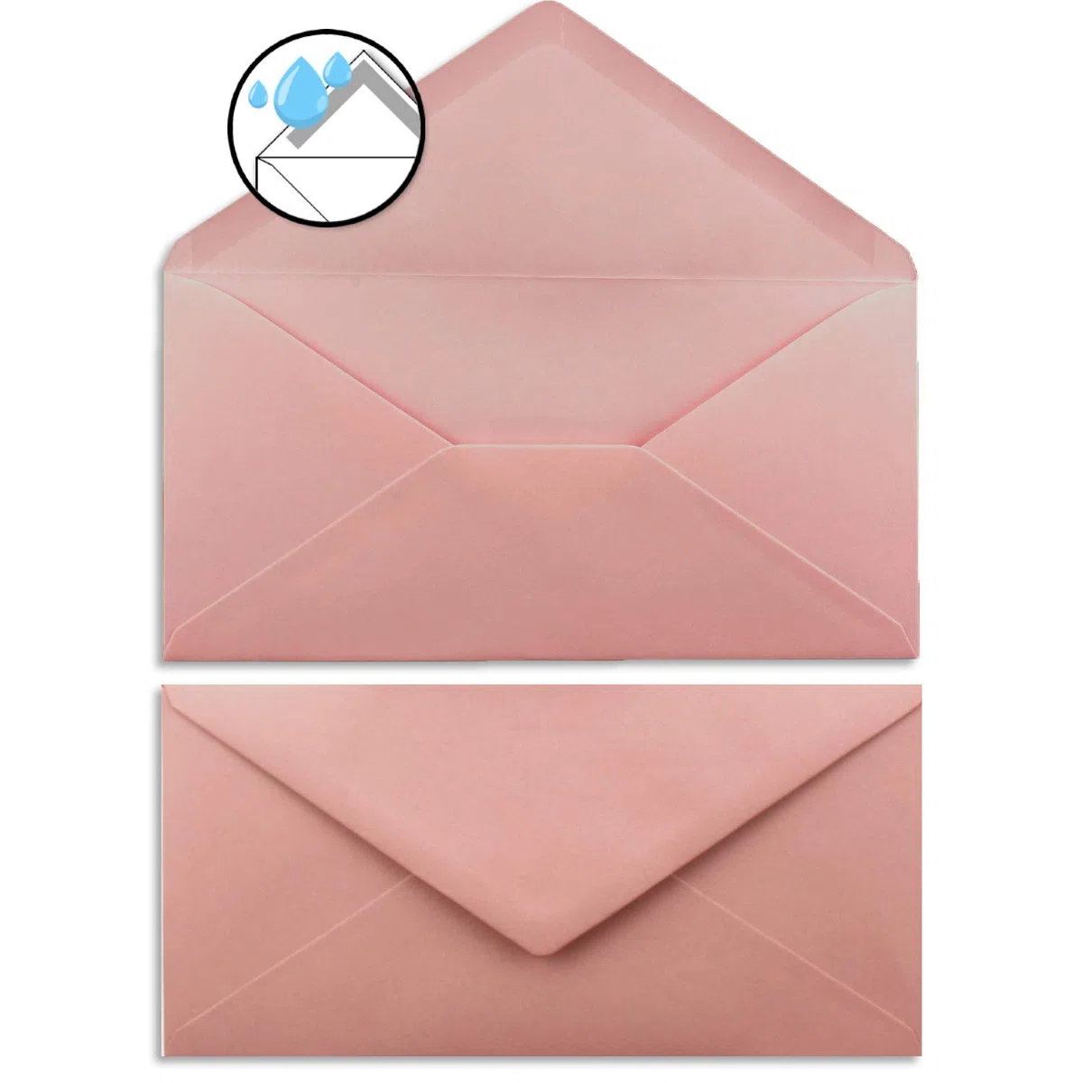 250 juegos de cartas DIN A4 - papel natural en crema con ramas de rosa - con sobres DIN largo en papelería rosa antiguo imprimible, ideal para invitaciones de boda