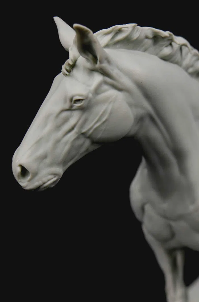3dtotal Anatomy: figura de equino
