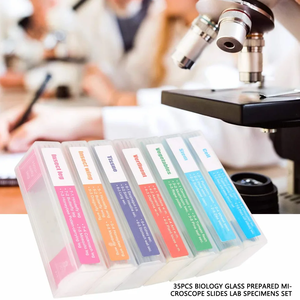 Kit de Cuchillas de microscopio preparadas con muestras de Hojas de Vidrio Transparentes colección de ejemplares Surtidos para la enseñanza de Las Ciencias biológicas básicas 35PC