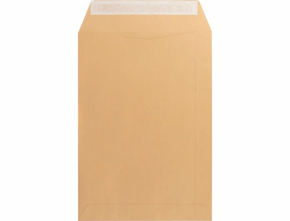 SOBRE LIDERPAPEL BOLSA N.11 KRAFT FOLIO PROLONGADO 250X353MM TIRA DE SILICONA CAJA DE 250 UNIDADES
