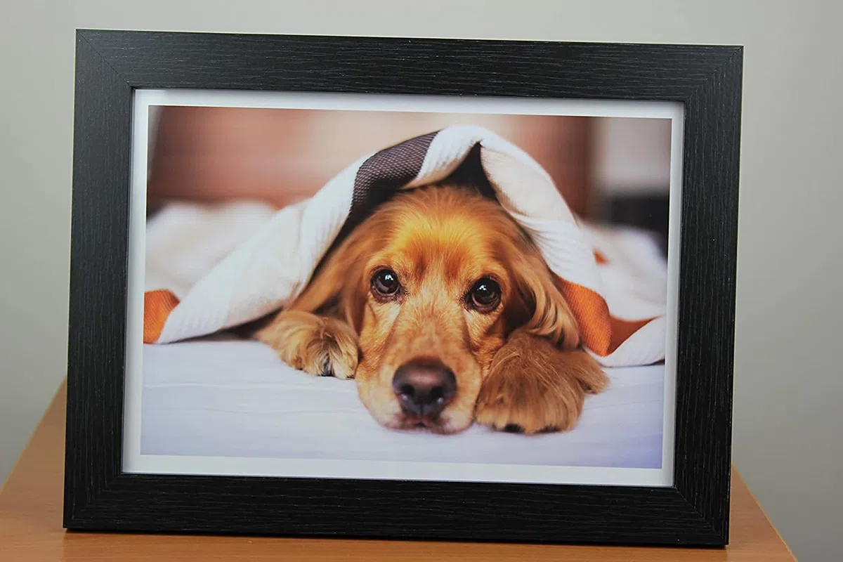 PPD Inkjet - A4 x 50 Hojas de Papel Fotográfico Brillante 180 g/m² - Calidad Profesional para Uso Diario - Secado Instantáneo - Para Impresión de Inyección de Tinta - PPD-24-50