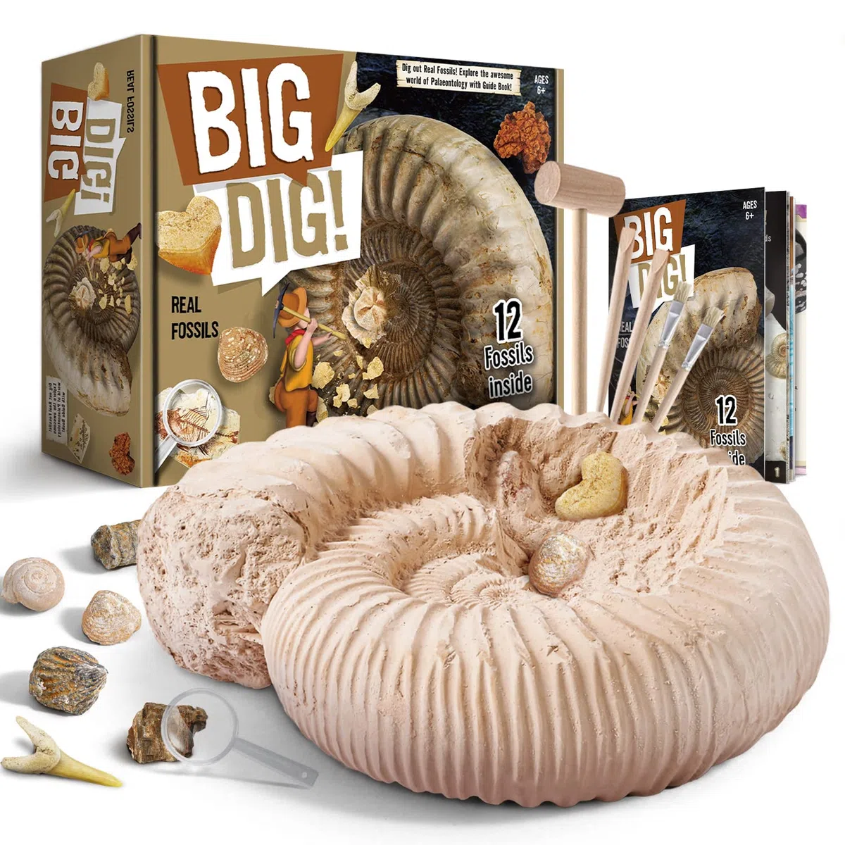 Byncceh Kit de Excavación de Fósiles para Niños – Descubre 12 Fósiles Auténticos en 1 Gran Bloque de Yeso | Juego Educativo Stem para Niños de 6 a 12 Años Pequeños Exploradores