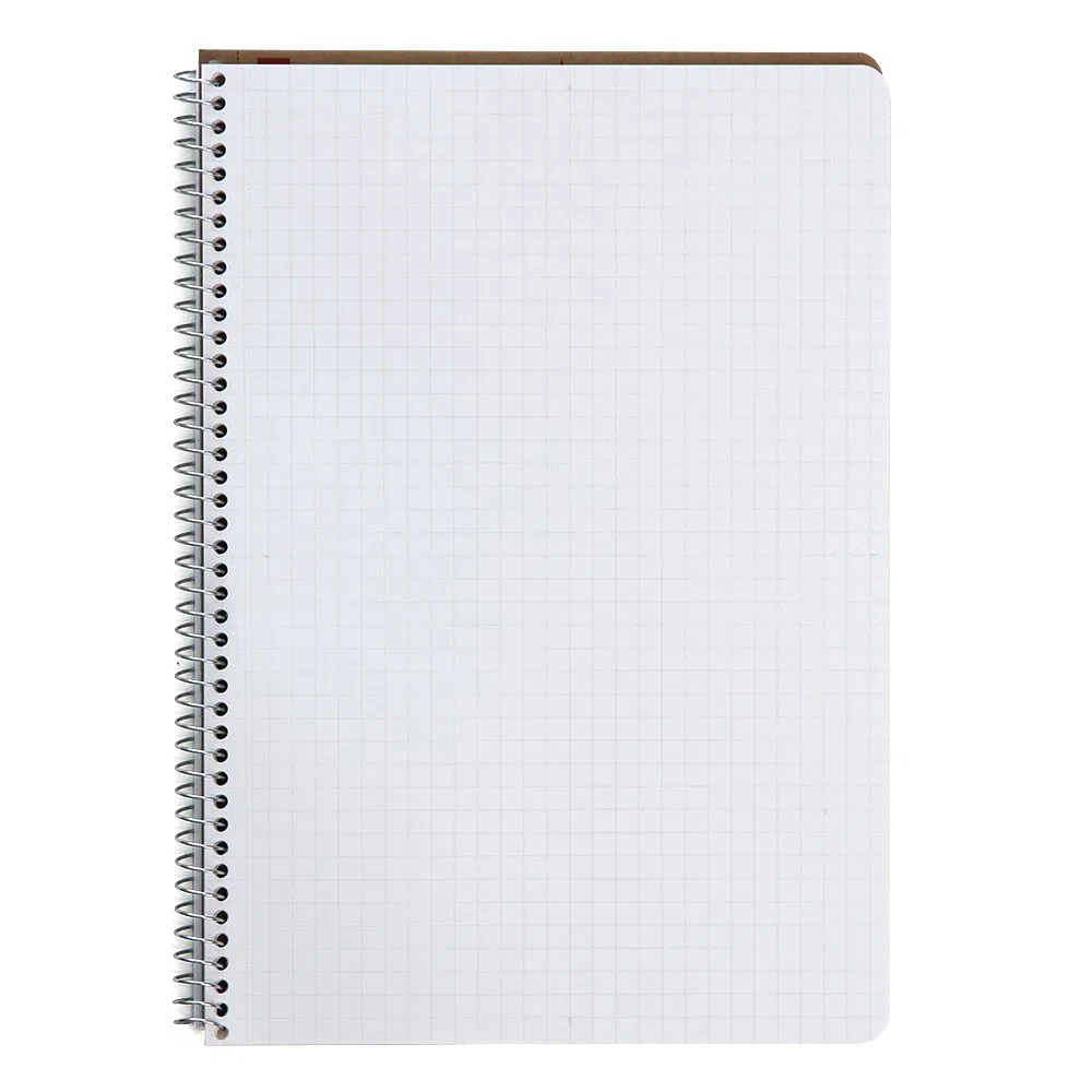 Maruman N247 - Cuaderno de anillas (5 mm), cuadrícula, básico, A5, 40 hojas, juego de 10