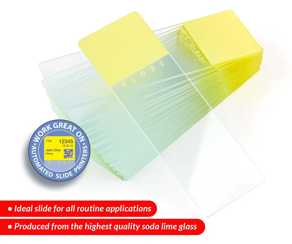 Globe Scientific 1324Y - Guía para microscopio (Cristal, 25 x 75 mm), Bordes con Esquinas de Seguridad, Color Amarillo Esmerilado (1.440 Diapositivas)