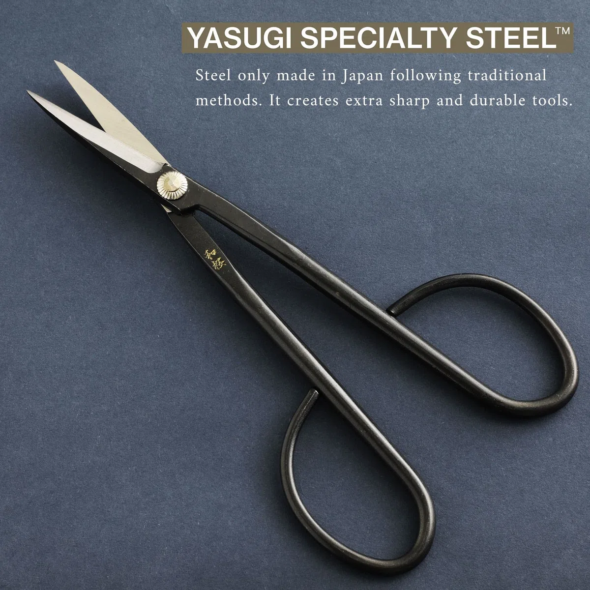 Wazakura Kit Esencial de Herramientas para Bonsái de 4 Piezas Hecho en Japón - Tijeras Twig de Acero Yasugi (210mm) + Cortador Cóncavo (200mm) + Pinzas de Acero Inoxidable + Borrador de Savia
