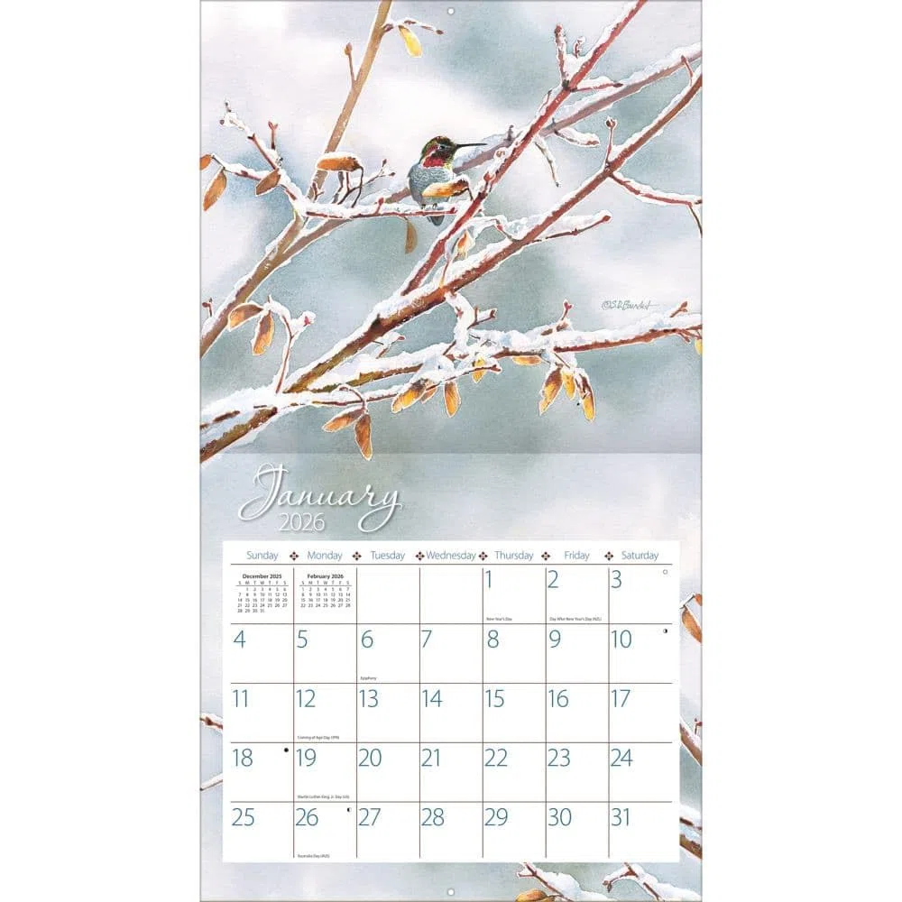 Lang, Calendario de pared 2026 de Colibríes por Susan Bourdet
