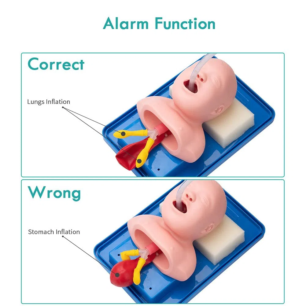 Simulador de entrenamiento de intubación de vías respiratorias infantiles, modelo de enseñanza de PVC para gestión de vías respiratorias, 27 x 20 x 12 cm, ideal para estudios médicos y entrenamiento