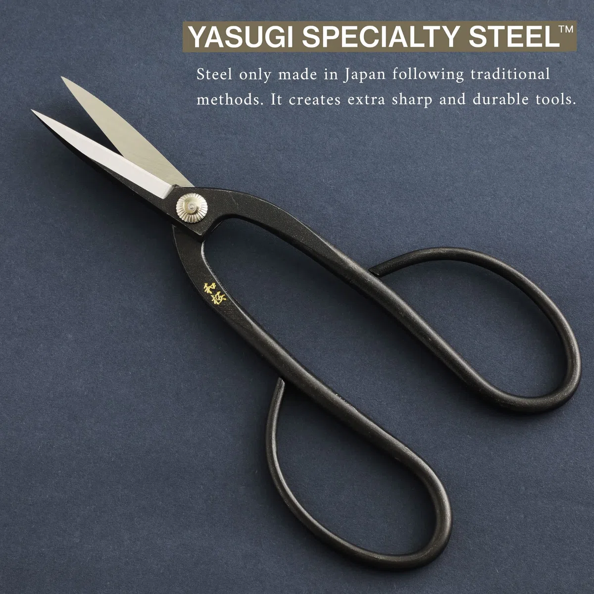 Wazakura Kit Esencial de Herramientas para Bonsái de 4 Piezas Hecho en Japón - Tijeras Ashinaga de Acero Yasugi (200mm) + Cortador Cóncavo (200mm) + Pinzas de Acero Inoxidable + Borrador de Savia