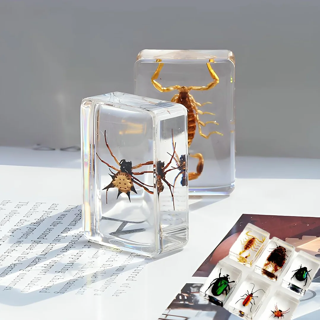 12 Piezas de Insectos en Resina,Coleccion de Insectos en Ambar Especímenes Reales de Insectos Transparentes en Resina sintética,Escarabajos Infantiles para Preescolar, Ciencia en el Aula