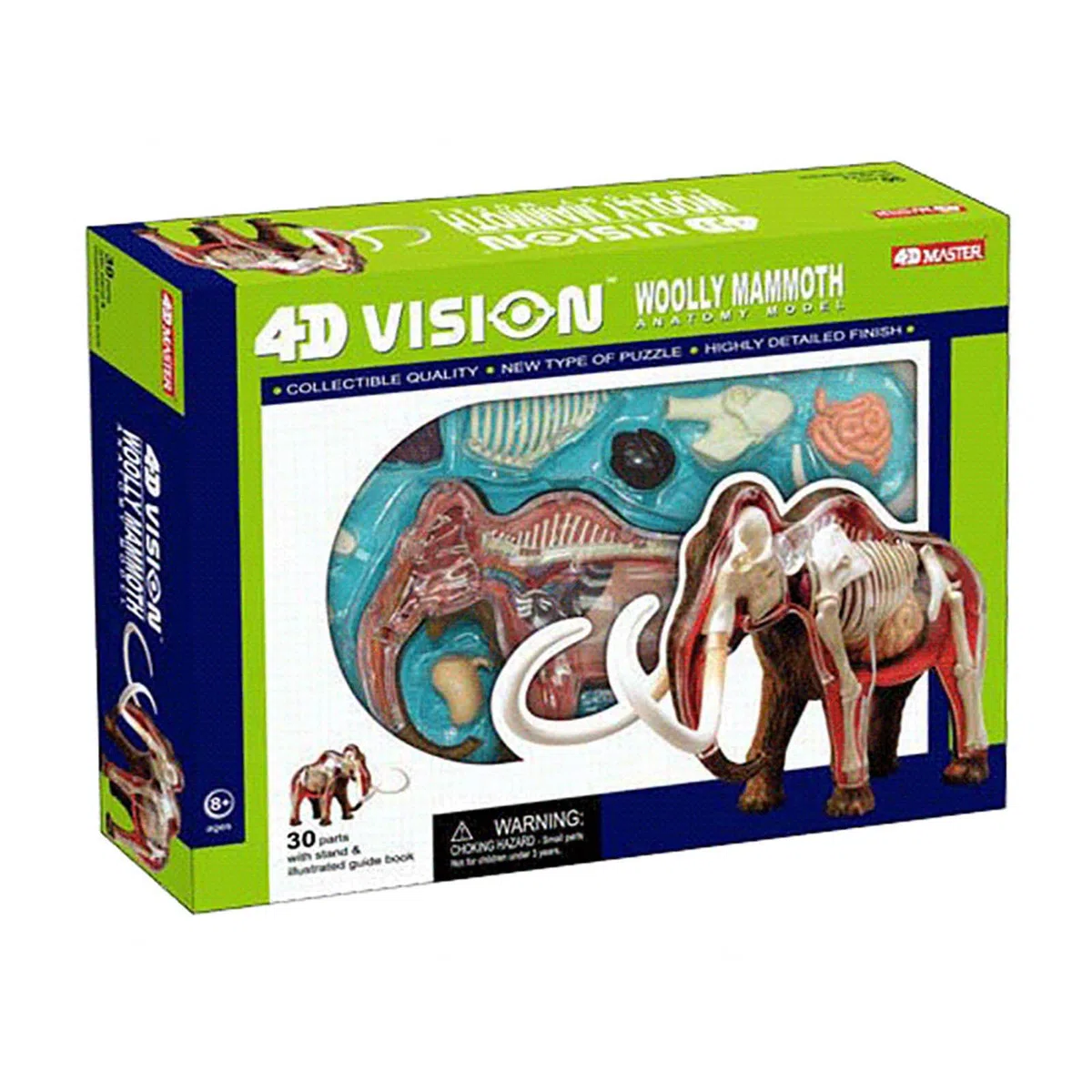 Modelo Anatómico De Momia De Lana 4d. Muestra De Esqueleto Animal, Biología Desmontable, 30 Secciones De Educación En Clínicas Veterinarias. Demostración De Enseñanza Escolar