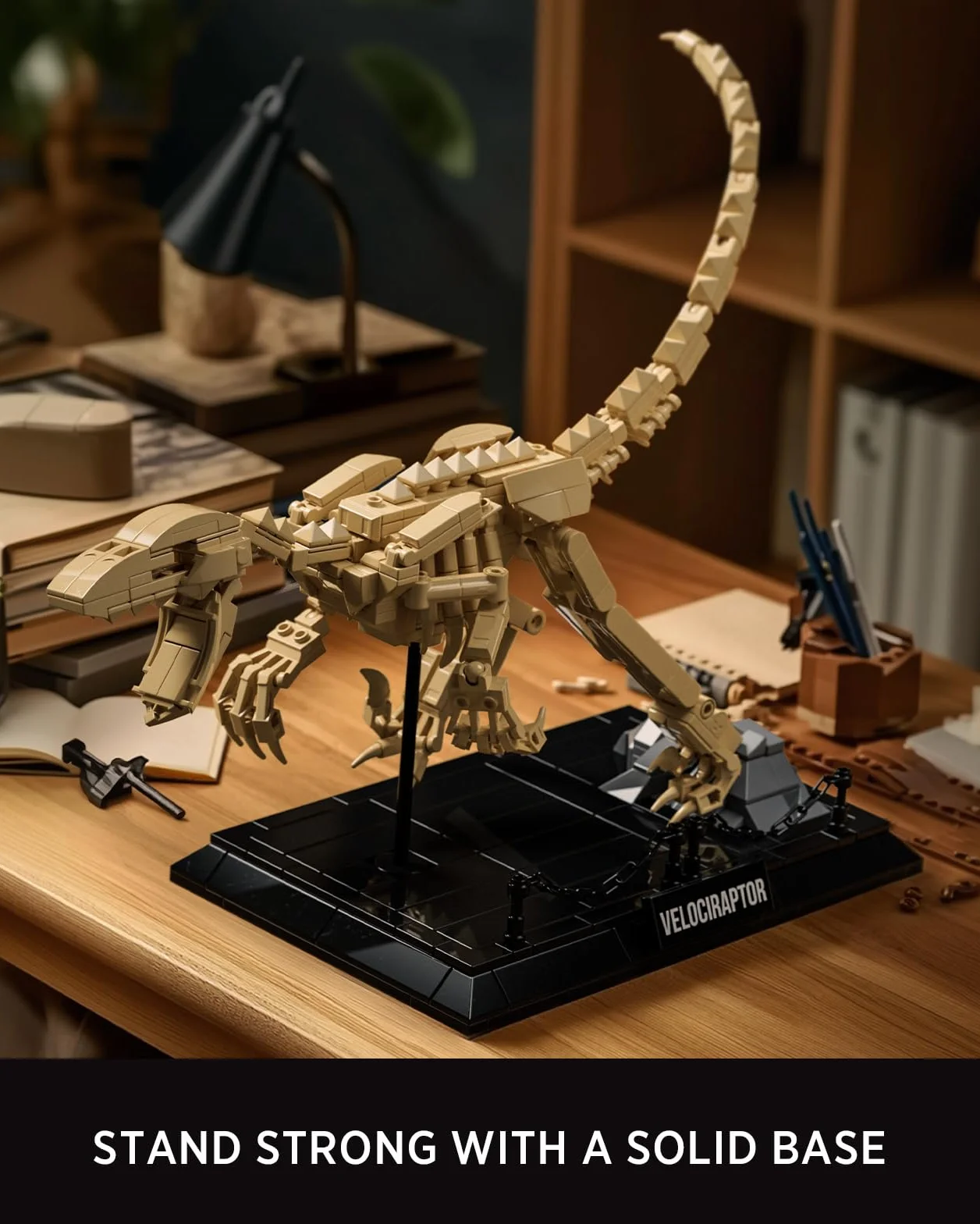 Nifeliz Set de Modelo Fósil de Velociraptor, Kit de Construcción de Esqueleto de Dinosaurio con Base para Adultos, Regalo de Colección para Amantes de los Dinosaurios (498 Piezas, NF10357)