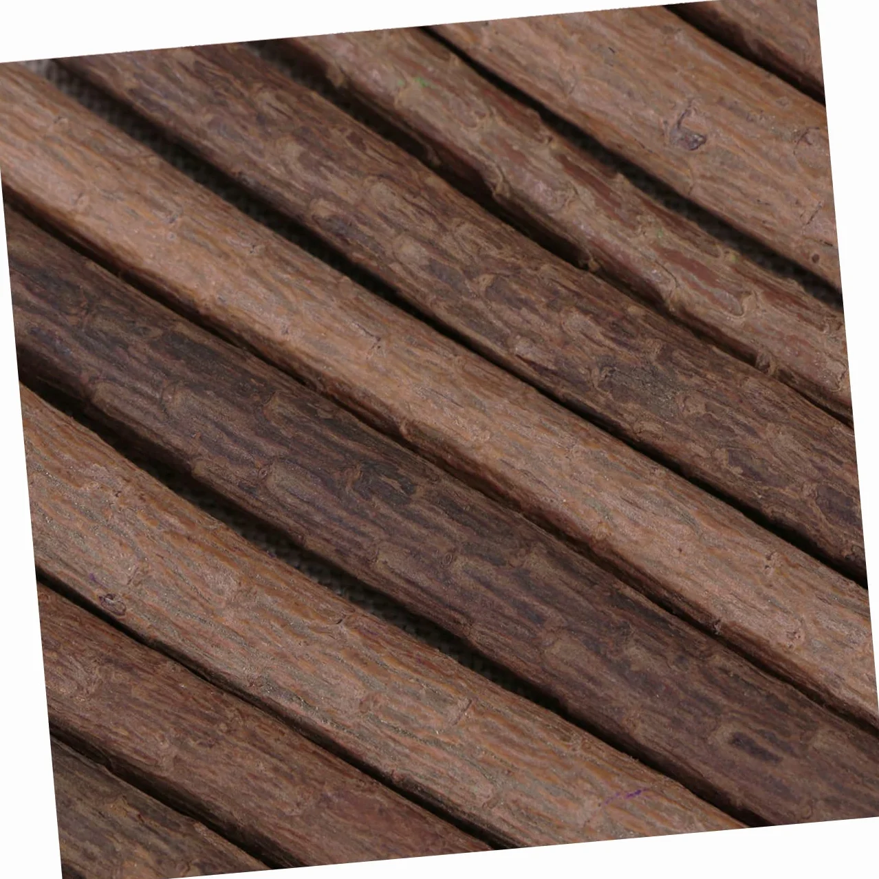 SHINEOFI Lapices Dibijos Plantas Lapiceros Sueltos 36 Uds Lápices De Rama De Árbol Lápiz De Rama De Madera Lápices De De De De Ramita Lápiz De