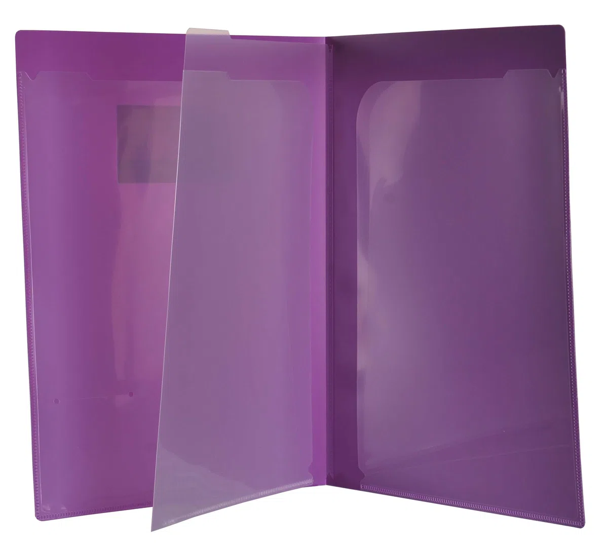 Filexec Products 4 Pocket Port/Folder, Assorted, Pack of 6 (50373-3140)