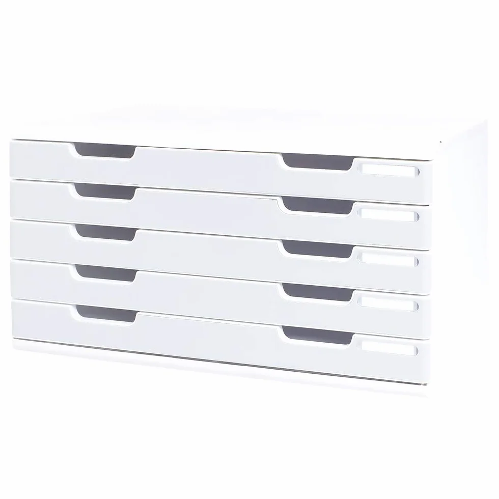 Exacompta - Mueble archivador con 5 cajones (tamaño A3), color gris perla