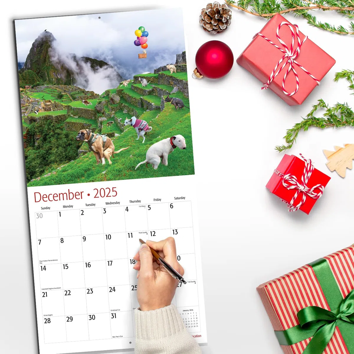 RED EMBER Dogs Pooping on Vacation - Calendario mensual de pared colgante 2025 | 12 x 24 pulgadas abierto | Papel grueso y resistente | Regalo | Divertido intercambio secreto de elefante blanco Yankee